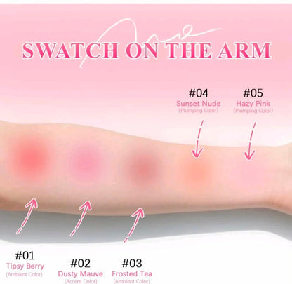 CHIC Taptap Puff Blush