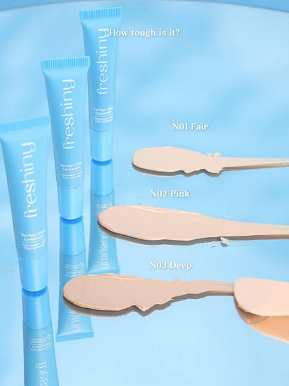 Freshiny Perfect Stay Concealer